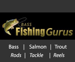 bass fishing experts